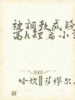 被调教成贱奴的高h短篇小说推荐