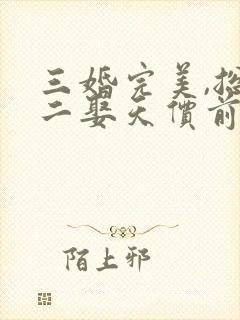 三婚完美,总裁二娶天价前妻