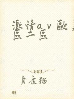 激情aⅴ欧美一区二区