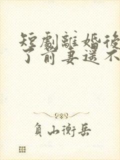 短剧离婚后我成了前妻遥不可及