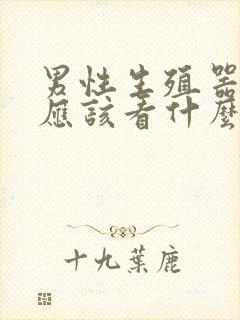 男性生殖器症状应该看什么科