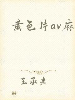 黄色片av麻豆