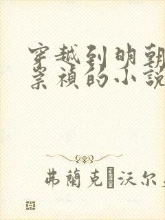 穿越到明朝成为崇祯的小说