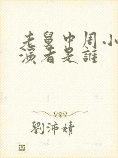 老舅中周小姐扮演者是谁封面