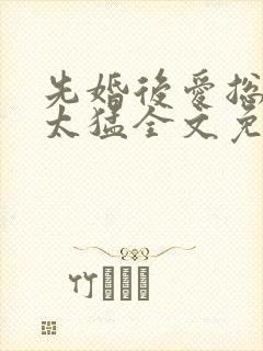 先婚后爱总裁别太猛全文免费阅读