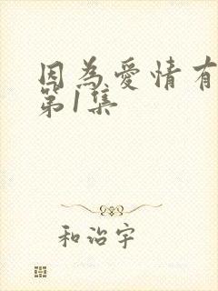 因为爱情有多美第1集