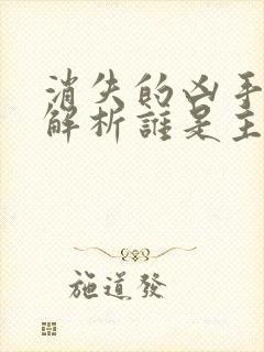 消失的凶手深度解析谁是主谋封面