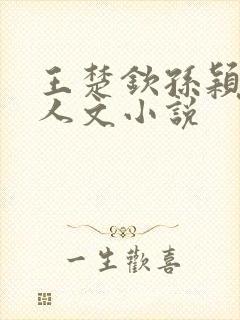 王楚钦孙颖莎同人文小说封面