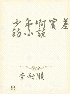 少年啊宾差不多的小说