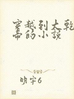 穿越到大乾当皇帝的小说