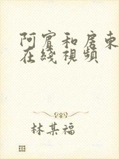 阿宾和房东太太在线视频