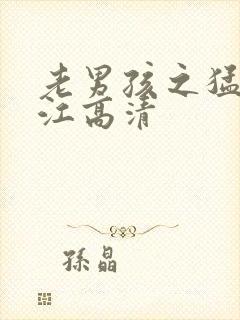 老男孩之猛龙过江高清封面