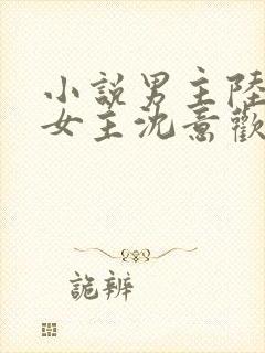 小说男主陆沉舟女主沈意欢免费阅读封面