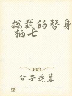 总裁的替身前妻 栖七