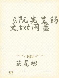 《阮先生的》全文txt网盘