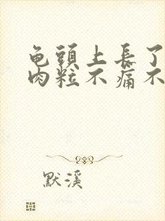 龟头上长了一颗肉粒不痛不痒封面