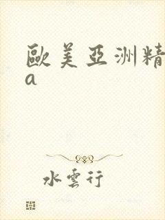 欧美亚洲精品va封面