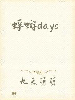 蜉蝣days封面