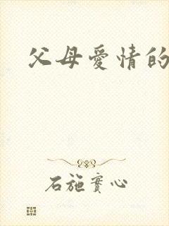 父母爱情的原著封面