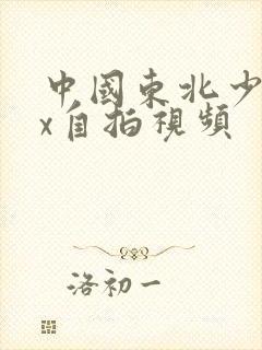 中国东北少妇xx自拍视频