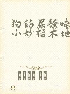 狗的尿骚味去除小妙招木地板