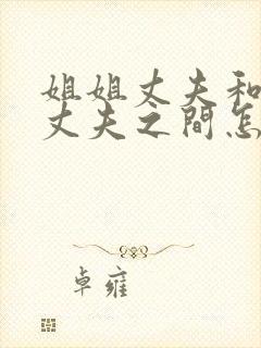 姐姐丈夫和妹妹丈夫之间怎么称呼封面