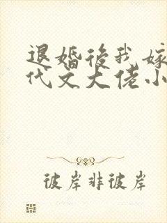 退婚后我嫁给年代文大佬小说