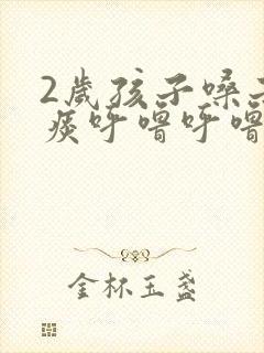 2岁孩子嗓子有痰呼噜呼噜的怎么办