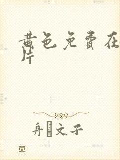 黄色免费在线看片