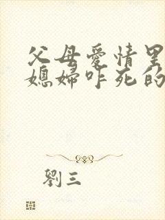 父母爱情里老丁媳妇咋死的封面