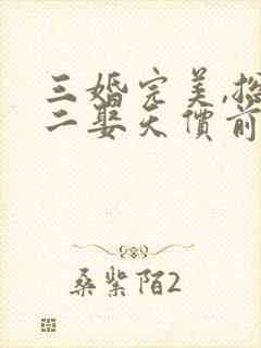 三婚完美,总裁二娶天价前妻