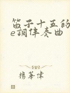 笛子十五的月亮e调伴奏曲