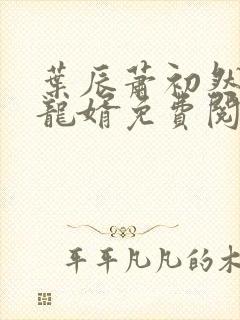 叶辰萧初然上门龙婿免费阅读