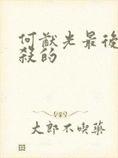 何猷光最后被谁杀的