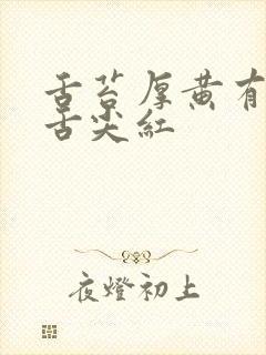 舌苔厚黄有齿痕舌尖红