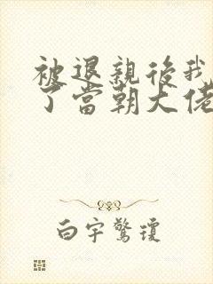 被退亲后我嫁给了当朝大佬小说封面