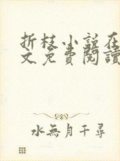 折枝小说在线全文免费阅读无弹窗