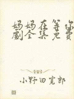 妈妈在等你电视剧全集免费完整版