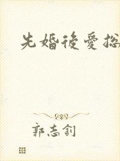 先婚后爱总裁文