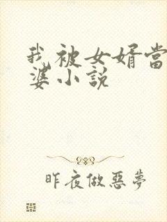 我被女婿当成老婆小说