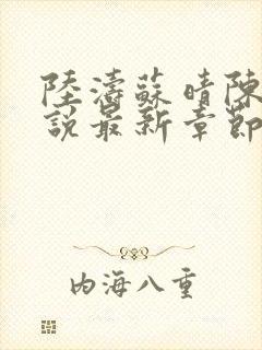 陆涛苏晴陈姨小说最新章节更新封面