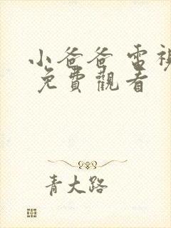 小爸爸 电视剧 免费观看封面