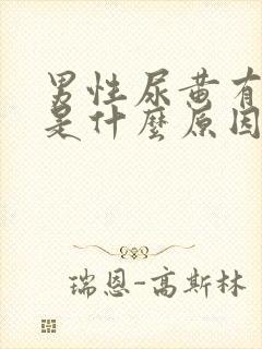 男性尿黄有泡泡是什么原因封面