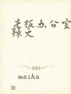 老板办公室系列辣文