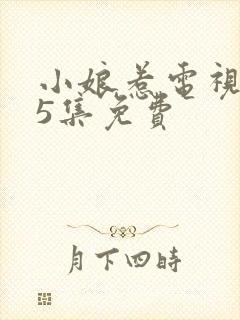 小娘惹电视剧45集免费