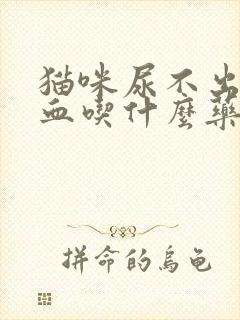 猫咪尿不出来尿血吃什么药