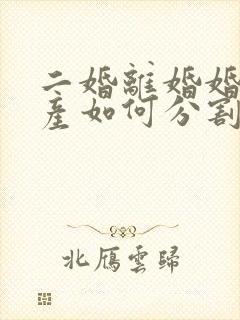 二婚离婚婚前财产如何分割新婚姻法