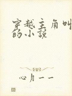 穿越主角叫林枫的小说封面