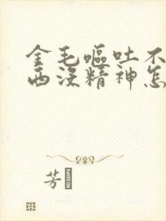 金毛呕吐不吃东西没精神怎么回事