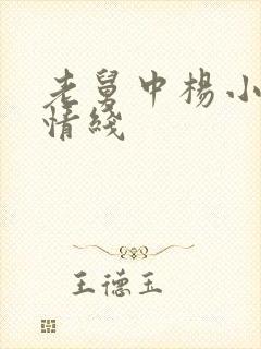 老舅中杨小姐感情线